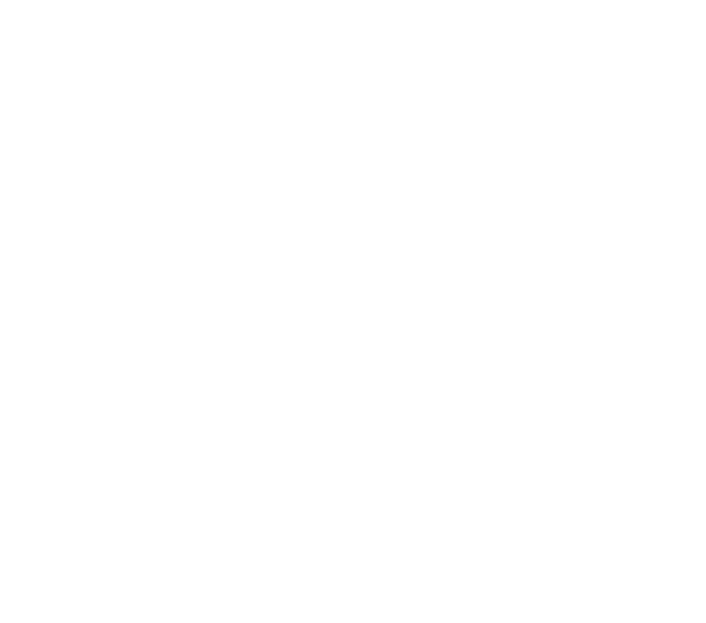 Young Director Award - Silver Winner